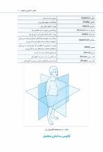 مغز من و رنگ‌آمیزی - تقویت خلاقیت در کارگاه طبیعت