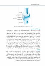 مغز من و رنگ‌آمیزی - تقویت خلاقیت در کارگاه طبیعت