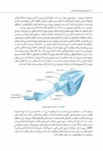 مغز من و رنگ‌آمیزی - تقویت خلاقیت در کارگاه طبیعت