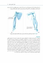 مغز من و رنگ‌آمیزی - تقویت خلاقیت در کارگاه طبیعت