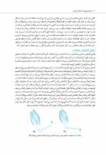 مغز من و رنگ‌آمیزی - تقویت خلاقیت در کارگاه طبیعت