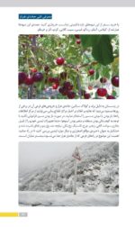جاذبه‌های گردشگری جاده‌ی فیروزکوه