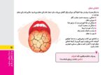 گنجینه‌ی مغزی
