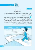 ماجرای کله‌پاچه شیرینی خامه‌ای و اعتیاد