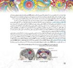 مارپیچ‌های اقیانوسی