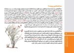 درمان نگه‌دارنده چیست و چگونه عمل می‌کند؟