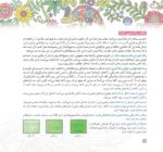 مغز من و رنگ‌آمیزی - مدیریت تمایلات و احساسات
