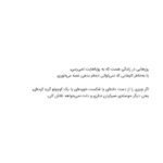 گربه ی سیزدهم